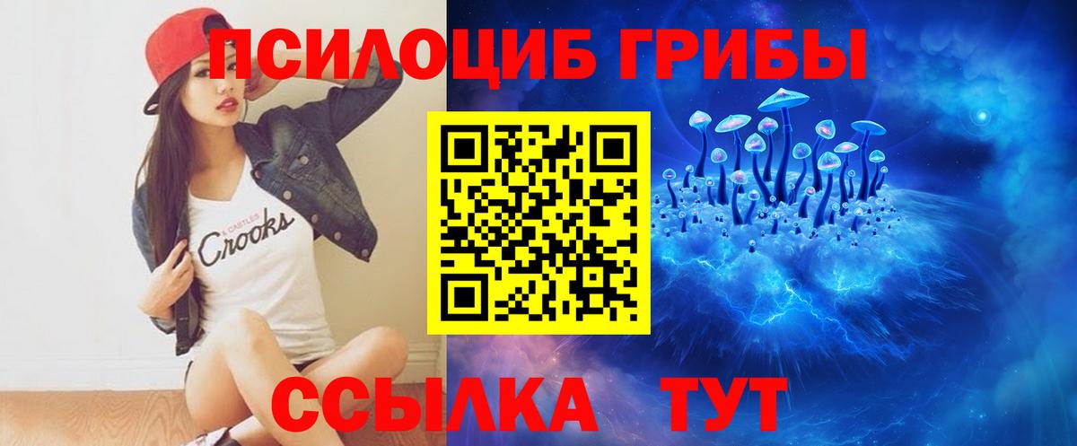 Туапсе  Галлюциногенные грибы Cubensis  Вход с VPN 