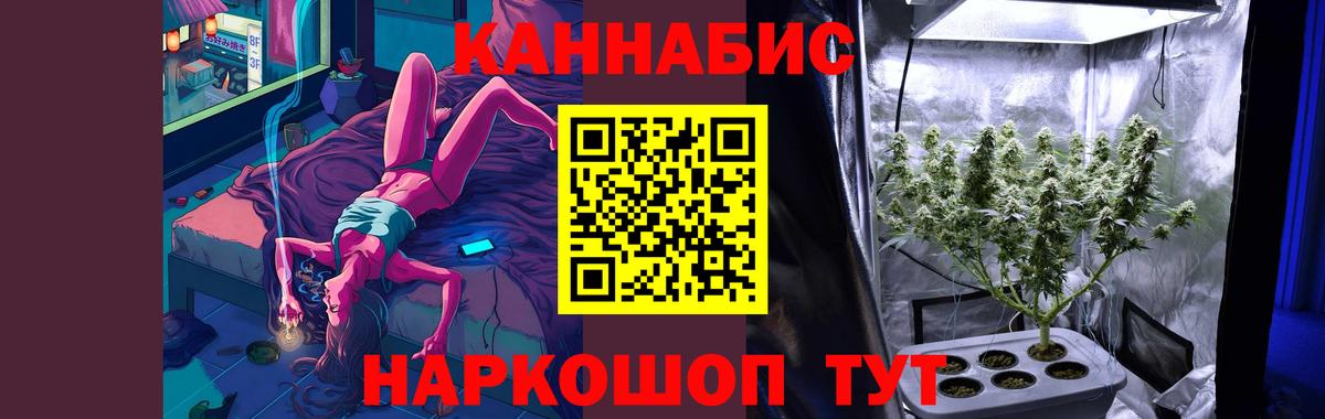 Каннабис OG Kush Туапсе